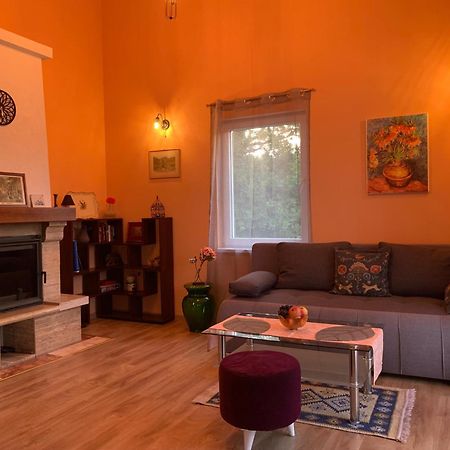 Villa Patrick House à Tivat Extérieur photo